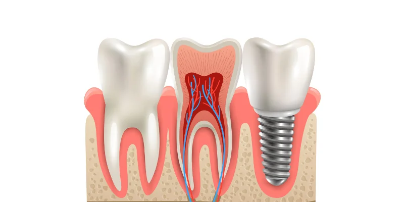 Dental care center services