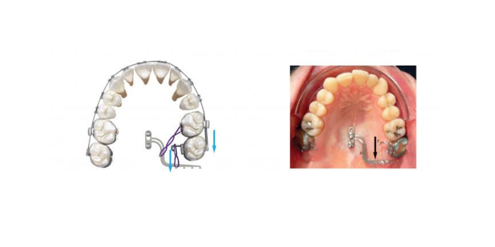 Dental care center services